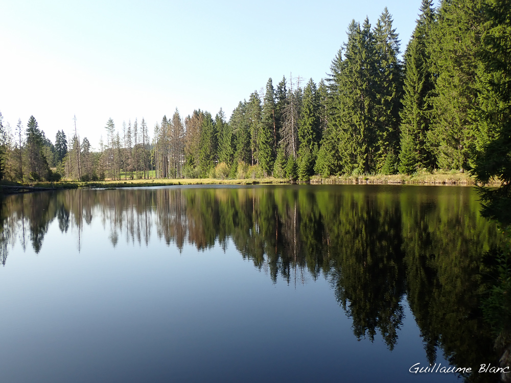 Miroir