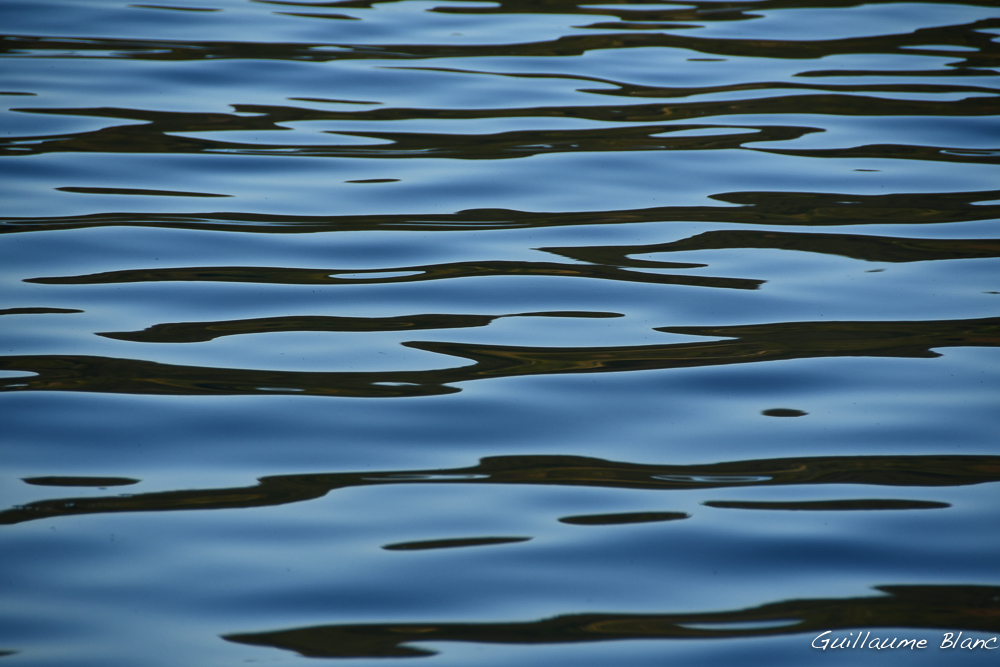 Ondulations