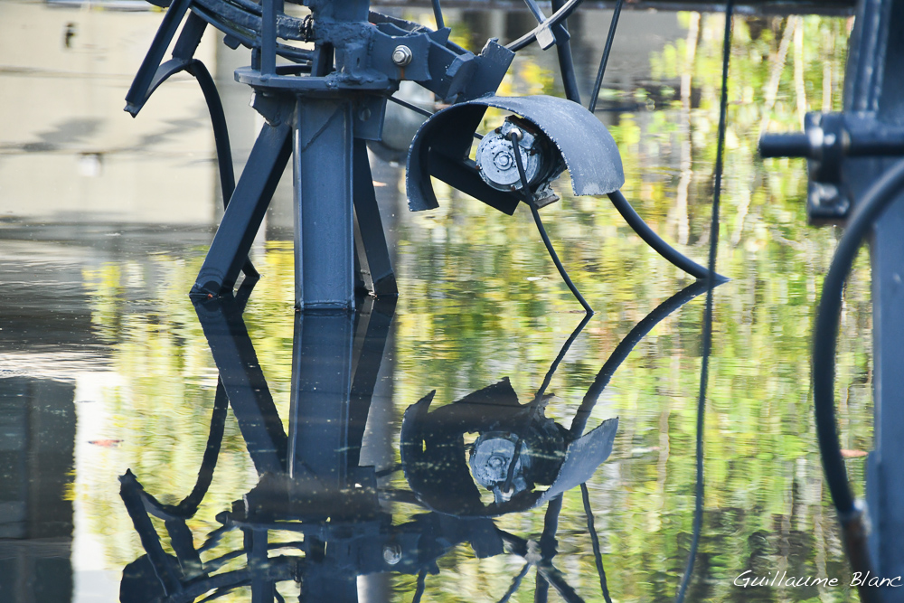 Immobilisme