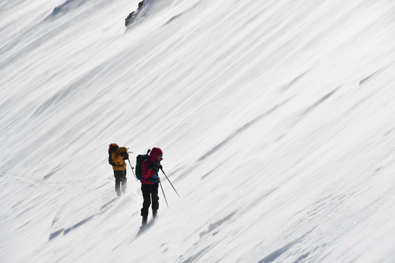 Décembre 2018. Grande Combe.Dans le vent