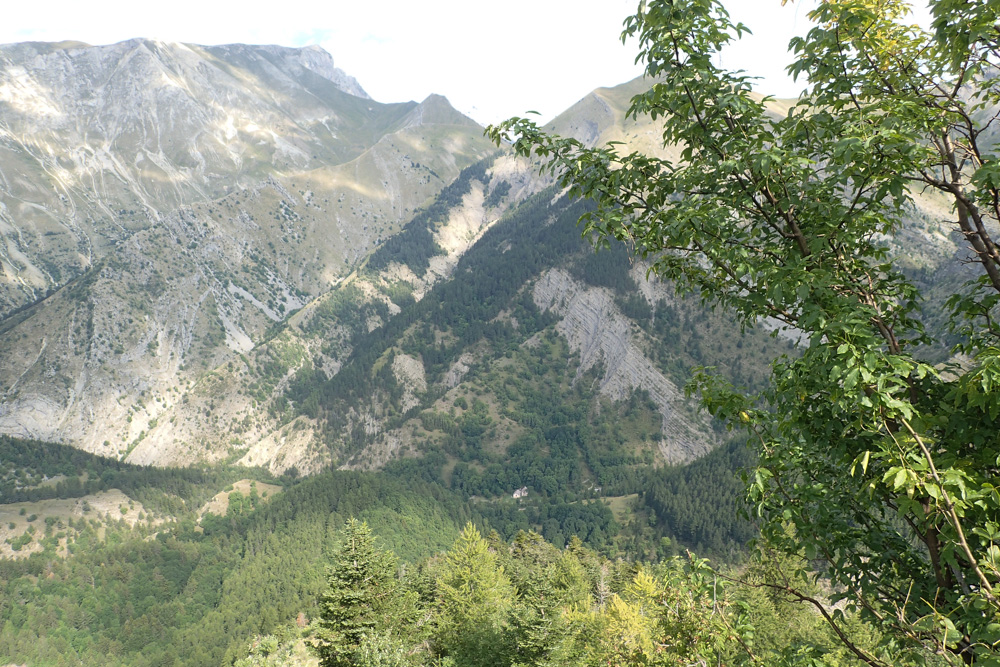 Les effets du reboisement : vue de Chaudun (on voit deux bâtisses tout
au fond) depuis le sentier balcon au sud-sud-est sous la Montagne
Chaudun, le 22 aout 2021.