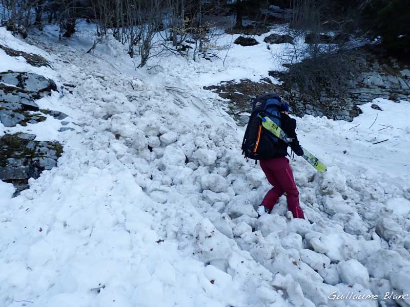 Des coulées de neige humide ont traversé les bois. Elles sont figées
par le gel matinal.