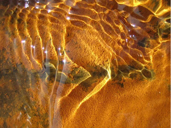 Les formes lumineuses qui dansent sur le sol d’un ruisseau éclairé par le soleil sont aussi des caustiques, concentrations de lumière.