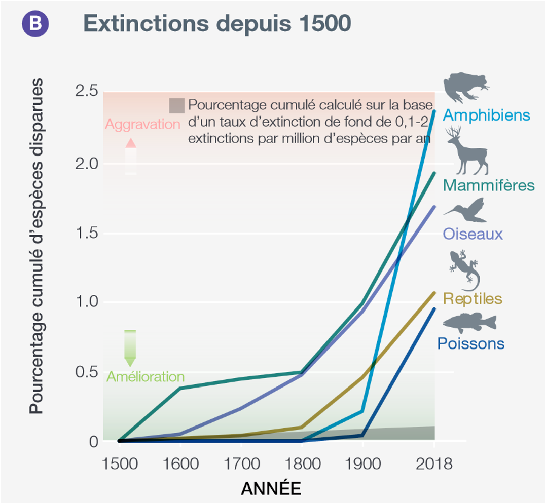 Pourcentage cumulé d’espères disparues depuis le 16e
siècle. Source :  (IPBES).