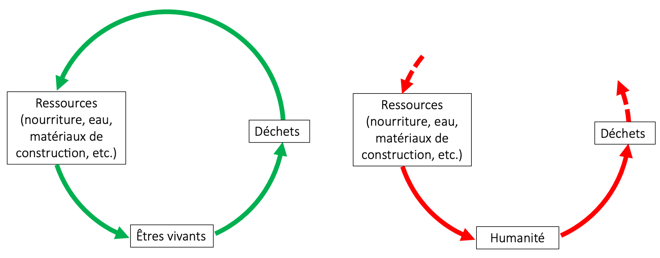 Distinction entre les flux « naturels » qui rentrent dans un
système circulaire de recyclage et les flux de l’humanité qui a
rompu le cycle entre déchets et ressources.