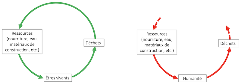 À gauche, les écosystèmes naturels fonctionnent, en moyenne, selon un
cycle fermé, les ressources de certaines espèces sont les déchets
d’autres espèces. Il n’y a, à priori, pas d’accumulation de déchets
toxiques, ou de prélèvements de ressources qui mettent en péril
l’équilibre global. Inversement, à droite, l’humanité a rompu le
cycle, elle puise des ressources de stock et génère des pollutions qui
s’accumulent et qui sont toxiques pour le vivant.