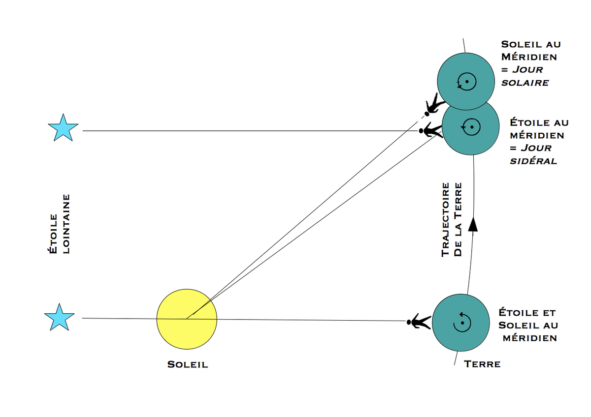 Jour solaire et jour sidéral :
illustration de la différence entre « jour sidéral » et « jour solaire ».