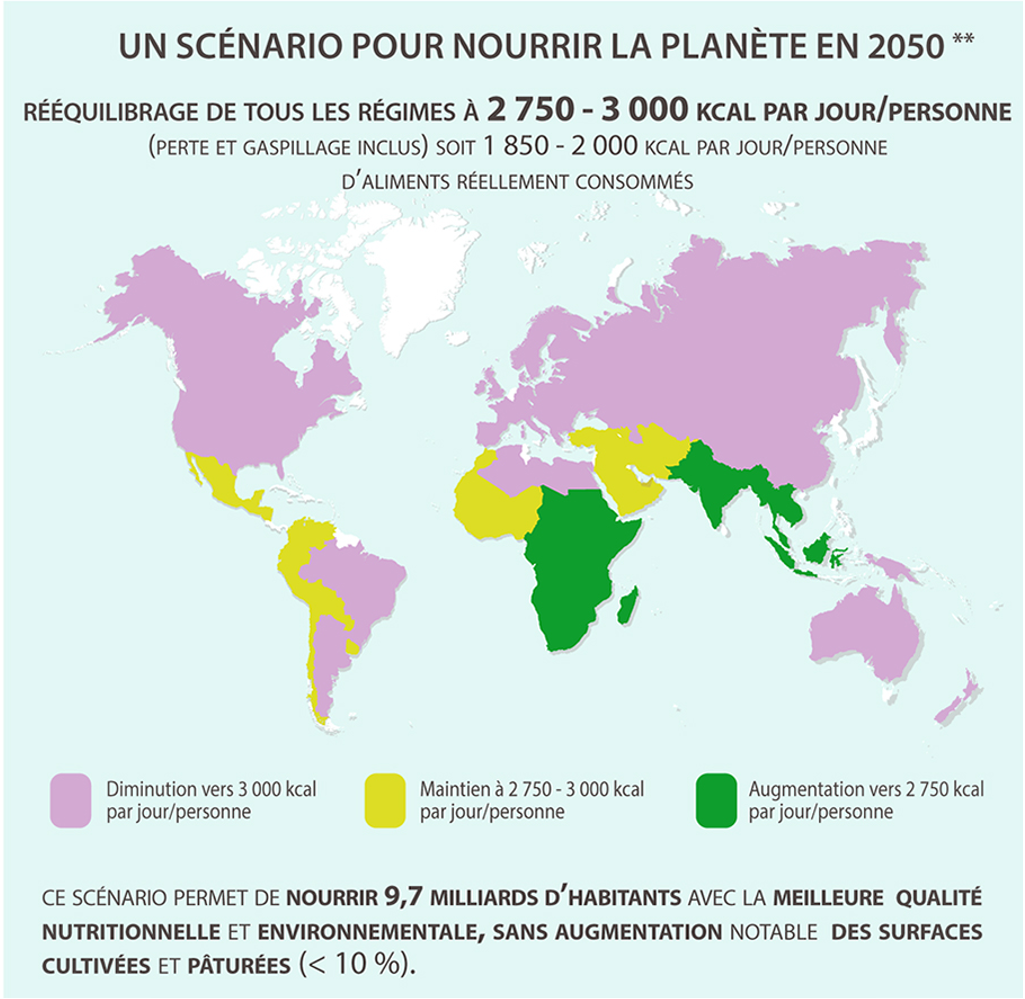 Un scénario pour nourrir l’ensemble de l’humanité en 2050 de manière équitable. Source : INRAE.