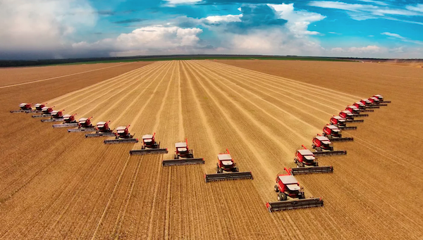 Un champ de soja au moment de la récolte, au Brésil. Ce pays est devenu en 2020 le premier producteur de soja, devant les États-Unis. Source : Pour la Science.