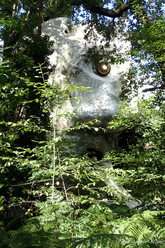 Surveillance
