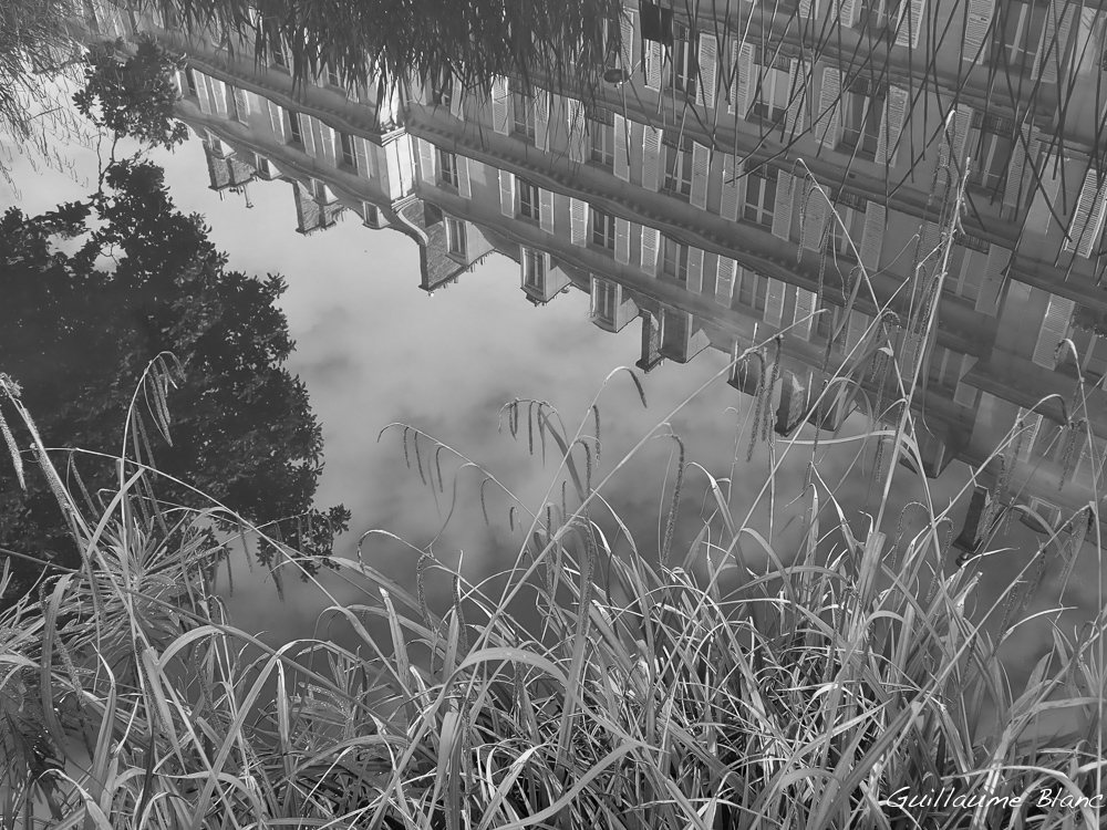 Verdure