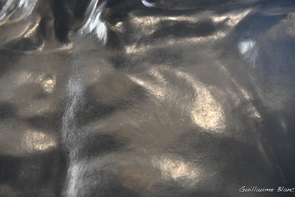 Torse